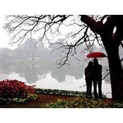 Hoàng Dung's photo