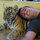Jon Noronha