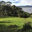 tassie007