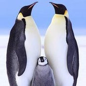 Barb Dial's photo