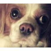 Jennifer McVey's photo