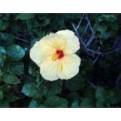 Cindy Morberg's photo