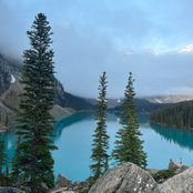 Nicole Leedom's photo