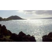 Chris Keller's photo