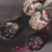 Sylvia Berger's photo