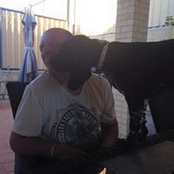 Mark Dingwall's photo