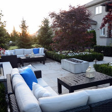 Patio / Back Yard