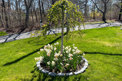 Design ideas for a landscaping in Boston.