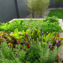 garden & backyard