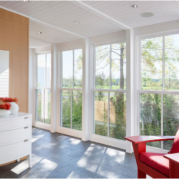 Windows and Doors