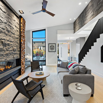 Contemporary Living Room