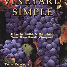 vineyard