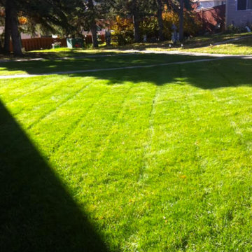 Our Work