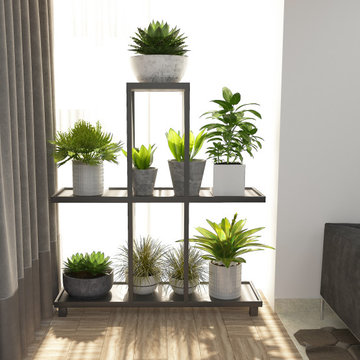 Plant Shelf