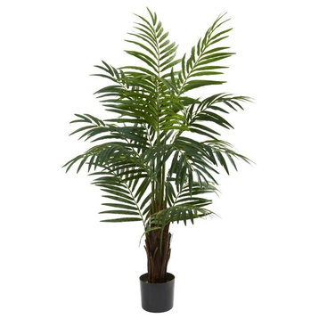 4' Areca Palm Tree