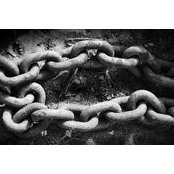 Joel Rowes foto