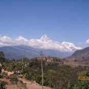 Bimbika Sijapati Basnett's photo