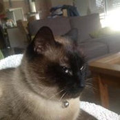 Chris TL's photo