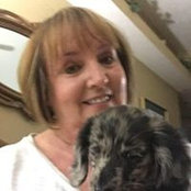 Judi DeBow's photo