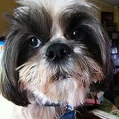 Carmen Arocena's photo