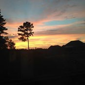 Jeff Wagner's photo