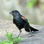 Mary Waters's photo