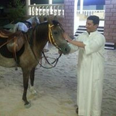 khaled