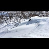 青木祐美's photo
