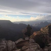Brandon Miller's photo