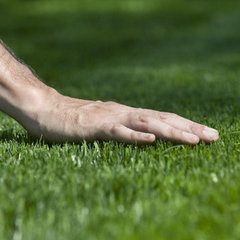 Finish Line Grading
