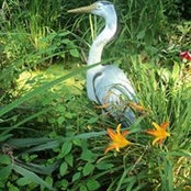 Photo de Waco Wabbit