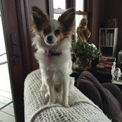 Christy Reisch's photo