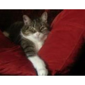 Denise Ethier's photo