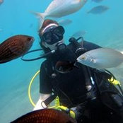 Deb Foley's photo