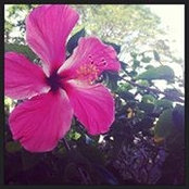 Michele Laux's photo