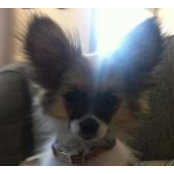 Claudia Baraglia's photo