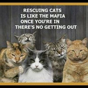 Donna Foy-Eckstein's photo