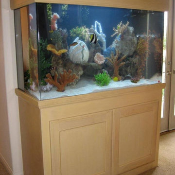 Southington, CT: Custom Aquariums & Fish Tank Installation Services in Waterbury