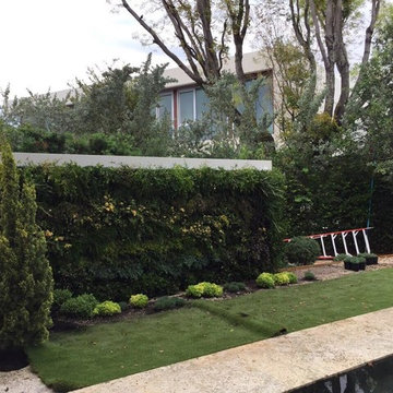 Vertical Gardens