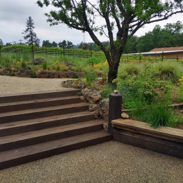 Steps & Pathways