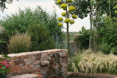Design ideas for a mediterranean landscaping in Albuquerque.