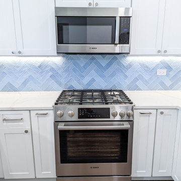 Lincoln Park Kitchen Remodel