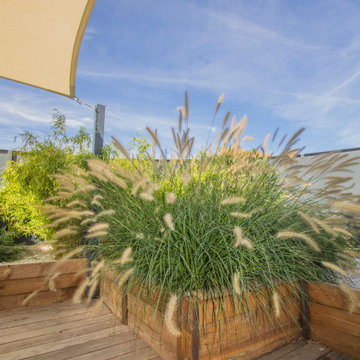 Transformation d'un jardin au cœur de Toulouse