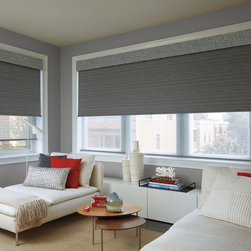 Transitional Grey Living Room Custom Window Roller Shades by Hunter Douglas - Roller Shades