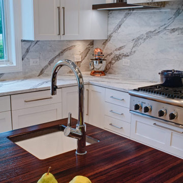 Bold Modern Kitchen - Highland Park, IL