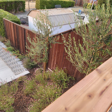 Silvercrest Ct, Pinole | Hardscape & Landscape Build