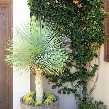 Decorative Patios
