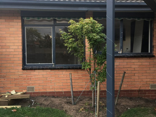 Help with colour to paint windows on 1970 orange brick house