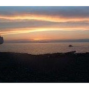 Foto von Mark Gustafson