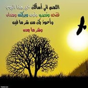 Hamdi Farjallah's photo